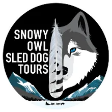 Snowy Owl Dog Sled Tours