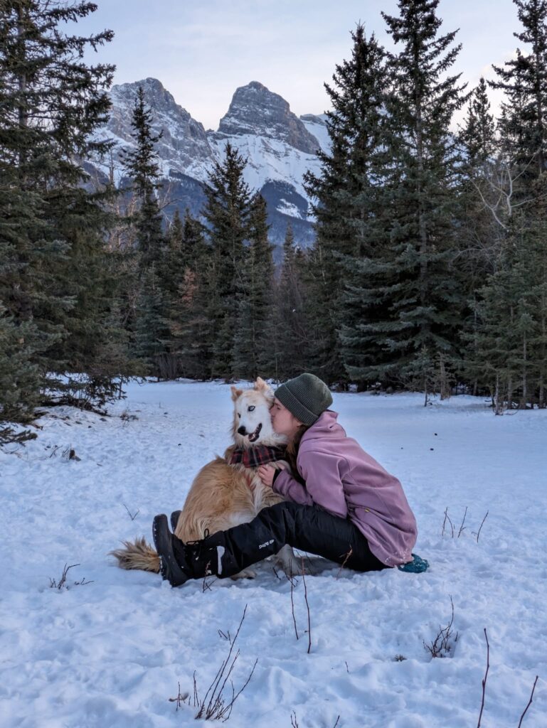 Retired Sled Dog Coco: ‘We Can’t Believe How Lucky We Are’ - Snowy Owl ...